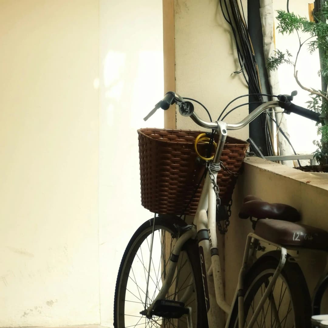 Lagring og vedlikehold